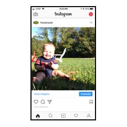 upload-and-frame-instagram-photos-the-frame-room